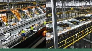 crossdocking_century_conveyor_page_hero_image