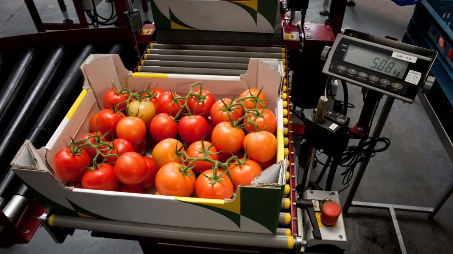 pick modules goods to person systems food distribution